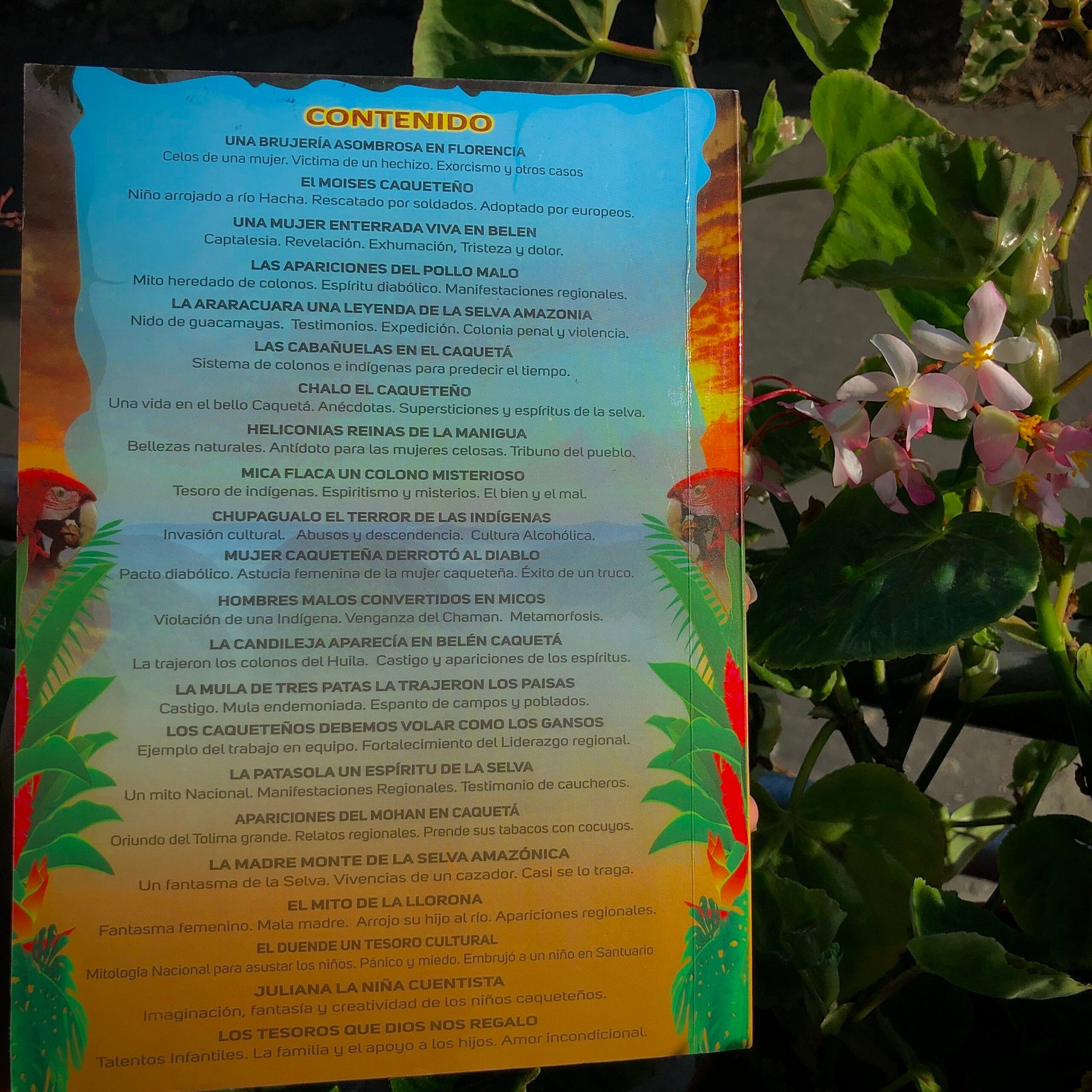 Relatos de la Amazonia - Image 4